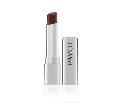 Imagem de Batom Hidratante Terracota Payot 3,6G