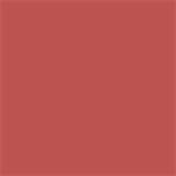 Imagem de Batom Líquido Eudora Niina Secrets Terracota Orquídea Skinny Matte 5ml