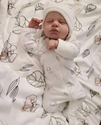 Imagem de Bebê Reborn menino príncipe