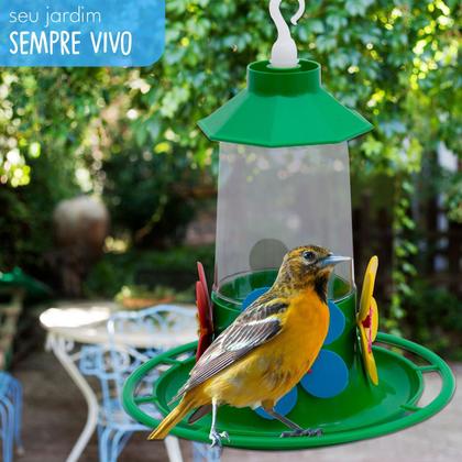 Imagem de Bebedouro Beija-Flor Luxo com Poleiro 250mL Cores Sortidas