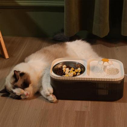 Imagem de Bebedouro Comedouro Flor Gato Cachorro Filtro Agua Potavel Raçao Comida Silencioso Saudavel Bem Estar