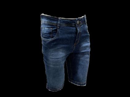 Imagem de Bermuda Masculina Authentic Todos Os Modelos