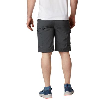 Imagem de Bermuda Masculina Silver Ridge Cargo Cinza - Columbia