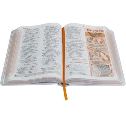 Imagem de Biblia Das Descobertas Rosa Ntlh