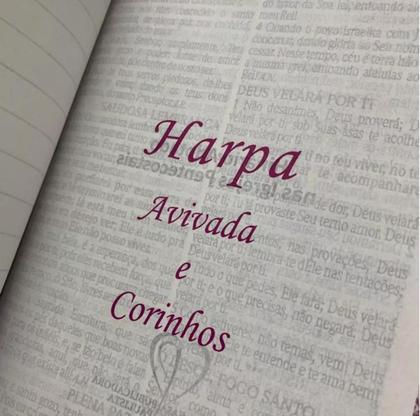 Imagem de Bíblia de estudo da mulher sábia  capa de luxo preta  arc  com harpa  com índice