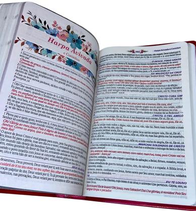 Imagem de biblia de Estudo Feminina Pentecostal Pastora Assembleia Datas Comemorativas