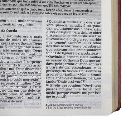 Imagem de Bíblia de Estudo Joyce Meyer - Letra Grande - Luxo Bordô - Bello