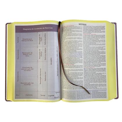 Imagem de Bíblia de Estudo King James Letra Gigante Atualizada Full Color Capa Dura