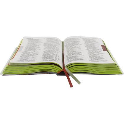 Imagem de Bíblia de Estudo para Crianças Kids O Mundo de Otávio Letras Grandes Maiúsculas Na Linguagem de Hoje NTLH Capa Leão