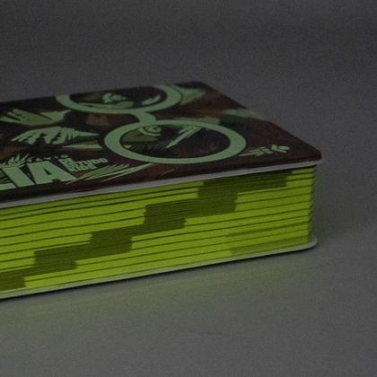 Imagem de Bíblia de Estudo para Crianças Kids O Mundo de Otávio Letras Grandes Maiúsculas Na Linguagem de Hoje NTLH Capa Leão