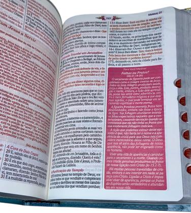 Imagem de Bíblia Estudo Mulher Sábia Letra Grande esboços temáticos Pentecostal pastora datas sofonias