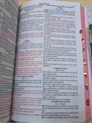 Imagem de Bíblia Evangélica Feminina Letra Grande E Harpa ARC