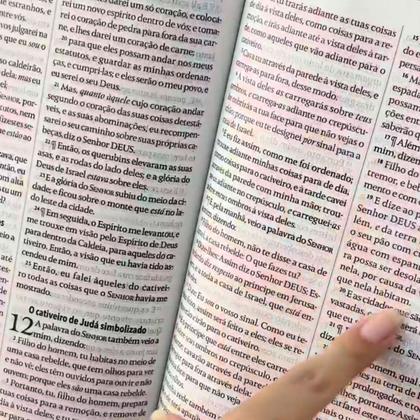 Imagem de Bíblia Feminina King James Fiel 1611 Versão Rose Letra Grande Luxo, Conforto Visual E Impacto Espiritual Numa Só Edição