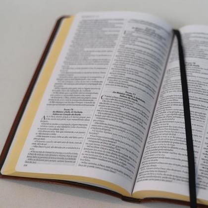 Imagem de Biblia King James Ultra Fina Capa Marrom Slim Luxo Bkj 1611