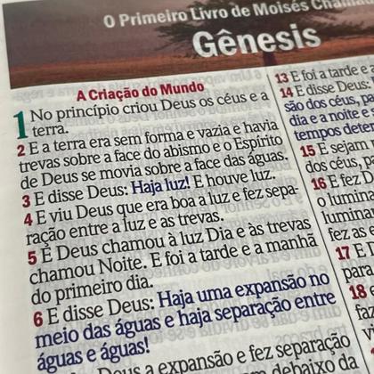 Imagem de Bíblia Letra Hipergigante Feminina e Palavras Jesus em Vermelho com Harpa Cristã de Botão Rosa Verde e Índice Mãe Mulher