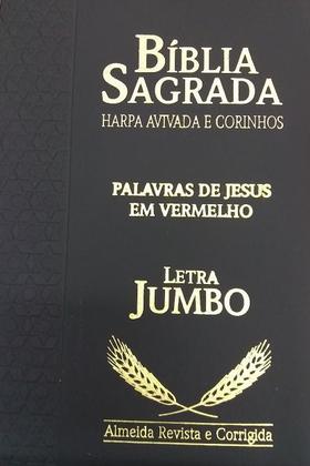 Imagem de Biblia letra jumbo ziper com harpa RC cpp