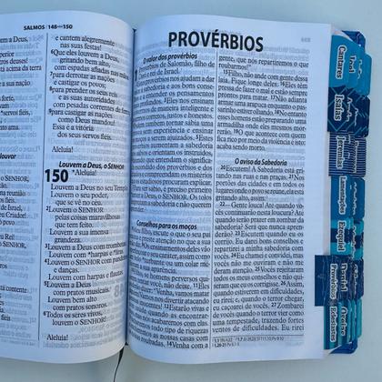 Imagem de Bíblia NTLH leão Azul Seja forte e corajoso com Abas coladas