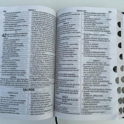 Imagem de Biblia NVI Leão de judá azul Capa dura Acolchoada com indice