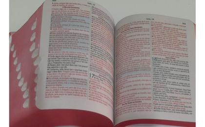 Imagem de Bíblia Para Adolescente Feminina Pentecostal Assembleia De Deus Batista Harpas Coros Índice Capa Dura Promessas