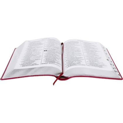 Imagem de Bíblia Sagrada ARA Almeida Revista Atualizada Letra Gigante com índice Pink
