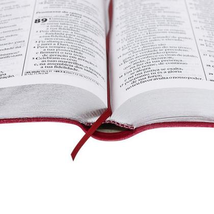 Imagem de Bíblia Sagrada ARA Almeida Revista Atualizada Letra Gigante com índice Pink