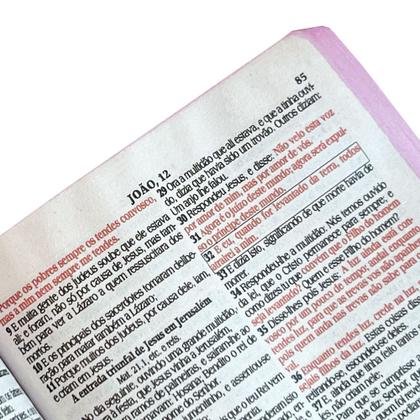 Imagem de Biblia Sagrada Com Harpa - Capa Dura Média - Filha do Rei