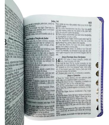 Imagem de Bíblia sagrada com letra grande  arc  com harpa cristã e corinhos  tamanho médio  capa floral  com índice