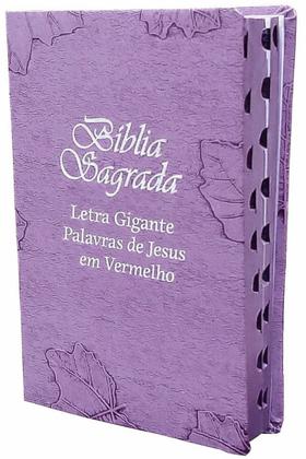 Imagem de Bíblia Sagrada da Mulher Letra Gigante Capa de Couro Lilás
