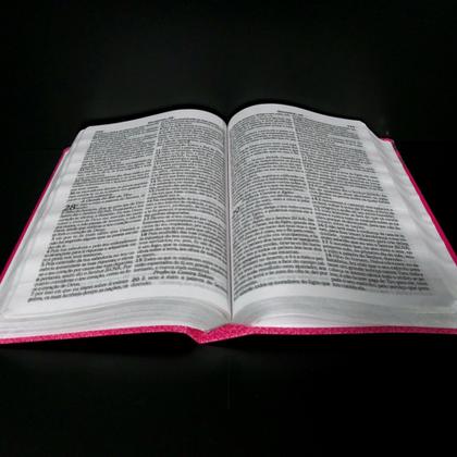 Imagem de Bíblia sagrada estudo da mulher nova laminada pink sc sk