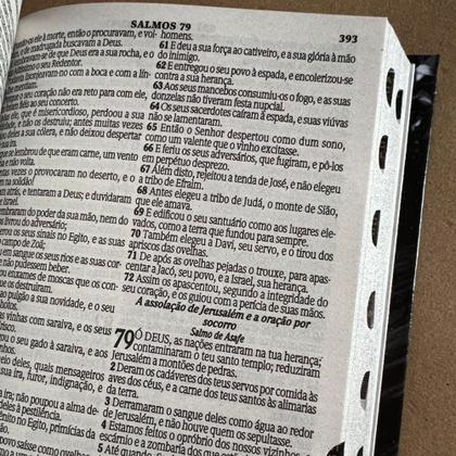 Imagem de Bíblia Sagrada Feminina Leão Seja Forte e Corajosa LETRAS MÉDIAS, Folha ECOLÓGICA Com Harpa e Índice