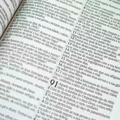 Imagem de Bíblia Sagrada Feminina Letra Jumbo ARC Almeida com Harpa Avivada e Corinhos - Capa Dura Floral Pink