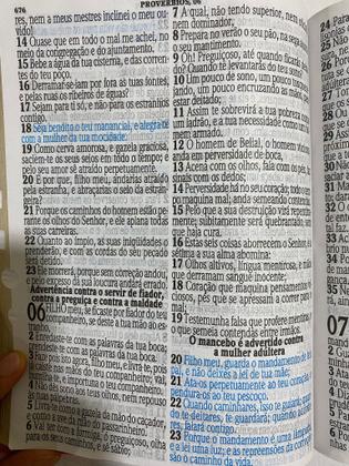 Imagem de Bíblia Sagrada Jumbo com Harpa Pentecostal de Zíper Florida