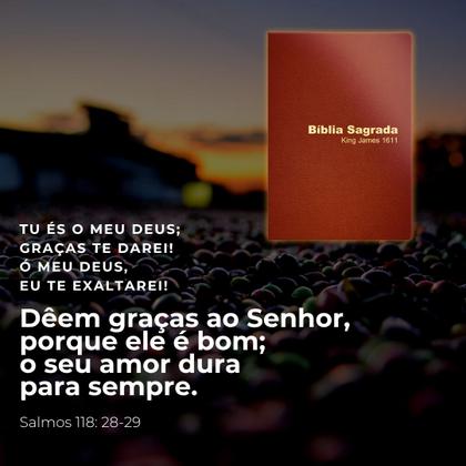 Imagem de Bíblia Sagrada King James 1611 Bkj Marrom Luxo Borda Dourada