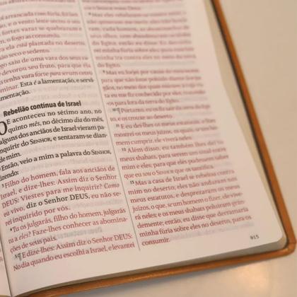 Imagem de Bíblia Sagrada King James Fiel 1611 Letra Extra Gigante Capa Castanha Borda Dourada