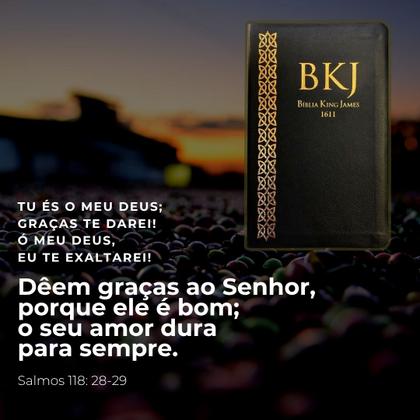 Imagem de Bíblia Sagrada King James Fiel 1611 Ultra Fina Slim Premium BKJ