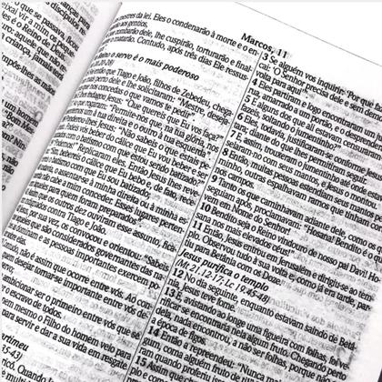 Imagem de Biblia sagrada kja leão adonai capa dura ebenezer versao king james