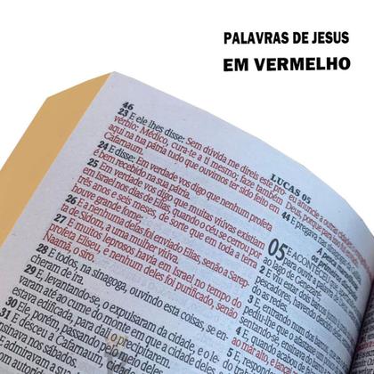 Biblia Sagrada Letra Gigante Luxo Popular - Marrom - Com Harpa - RC Imagem de Biblia Sagrada Letra Gigante Luxo Popular - Marrom - Com Harpa - RC