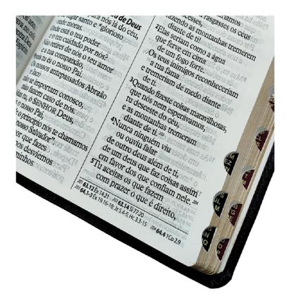 Imagem de Bíblia sagrada  letra gigante  ntlh  capa de luxo vinho  com índice  com auxílios  sbb