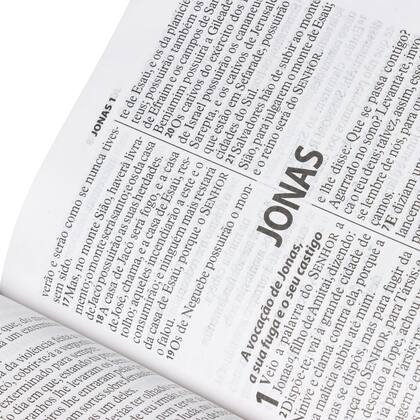 Imagem de Biblia sagrada - letra gigante - r.a 3 cores (cinza-azul escuro e claro) - sbb