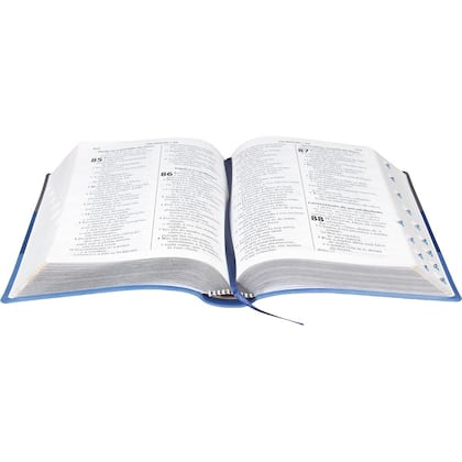 Imagem de Biblia sagrada - letra gigante - r.a 3 cores (cinza-azul escuro e claro) - sbb