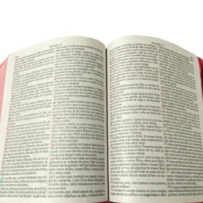 Imagem de Bíblia Sagrada Letra Jumbo Fecha C/ Ziper Pink Culto Igreja