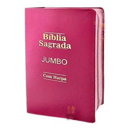 Imagem de Bíblia Sagrada Letra Jumbo Fecha Com Ziper Pink Culto Igreja
