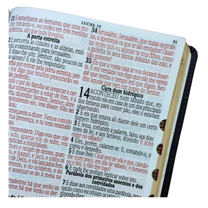 Imagem de Bíblia sagrada  letra jumbo  harpa  arc  índice  capa de luxo vinho  palavras de jesus em vermelho