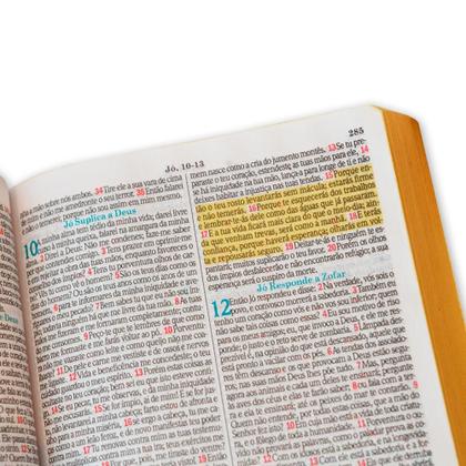 Imagem de Bíblia Sagrada Letra Pequena Luxo Pink