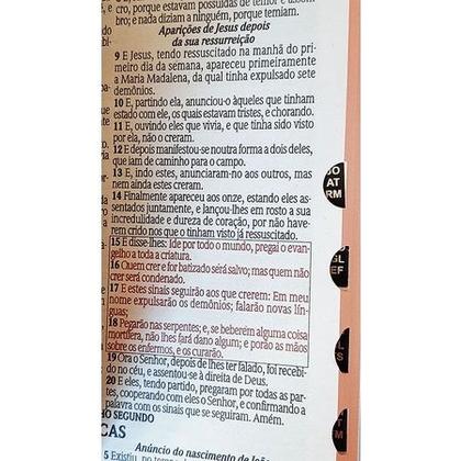 Imagem de Bíblia Sagrada - Letras Gigantes - Tamanho Grande - As Palavras de Jesus são em Vermelho - Zíper - Marrom