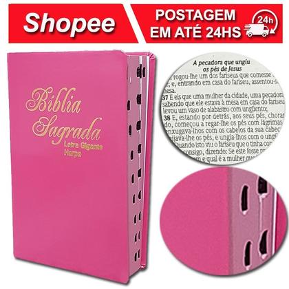 Imagem de Bíblia Sagrada - Possui LETRAS GIGANTES - Harpa Cristã - Tamanho Grande - Índice - Capa Luxo Pink Lisa