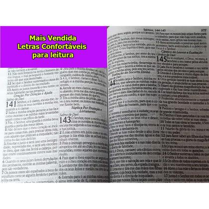 Imagem de Bíblia Sagrada - Possui LETRAS GIGANTES - Harpa Cristã - Tamanho Grande - Slim Ultra fina - Versão Almeida - Zíper - Índ