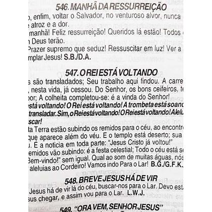 Imagem de Bíblia Sagrada - Possui LETRAS GIGANTES - Harpa Cristã - Tamanho Grande - Slim Ultra fina - Versão Almeida - Zíper - Índ