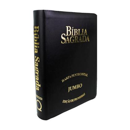 Imagem de Biblia Sagrada RC Letra Jumbo Edicao De Promessas Capa Ziper Preta - Ebenézer / King's Cross