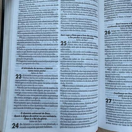 Imagem de Bíblia Slim preta SBB - ultra fina compacta ARC